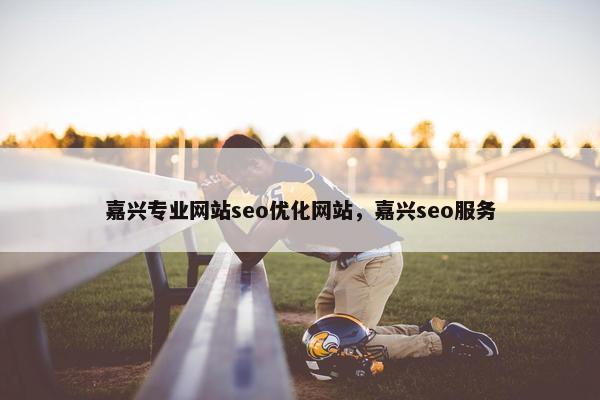 嘉兴专业网站seo优化网站，嘉兴seo服务