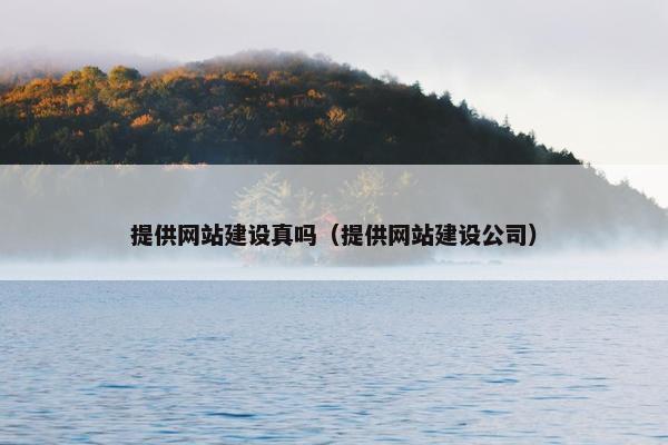 提供网站建设真吗（提供网站建设公司）
