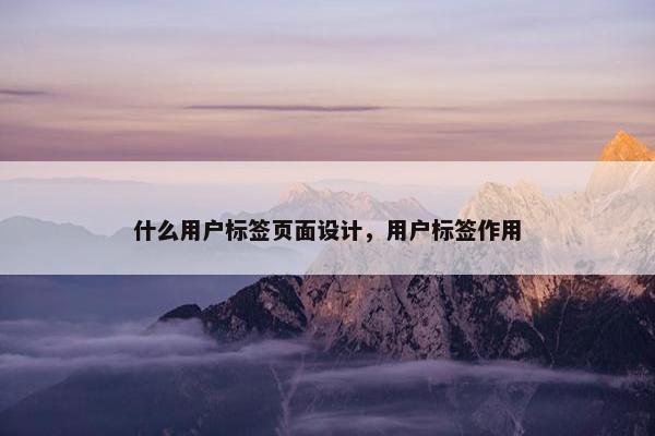 什么用户标签页面设计，用户标签作用