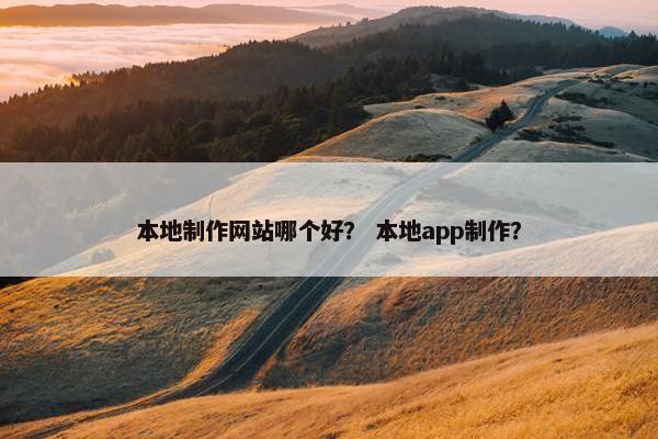 本地制作网站哪个好？ 本地app制作？