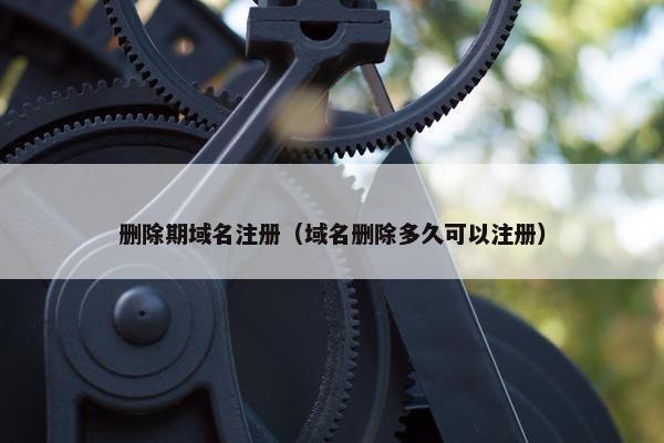 删除期域名注册（域名删除多久可以注册）