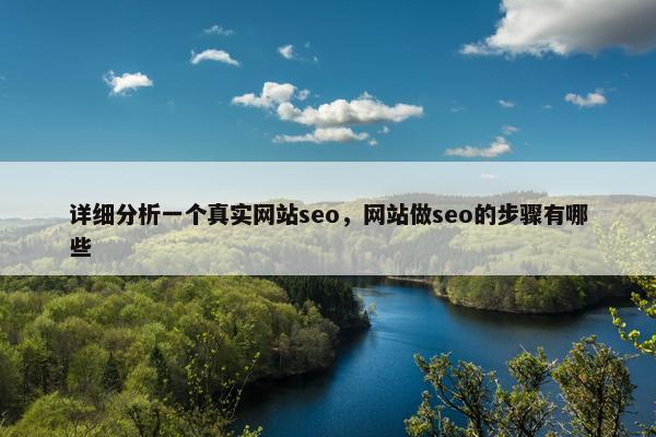 详细分析一个真实网站seo，网站做seo的步骤有哪些