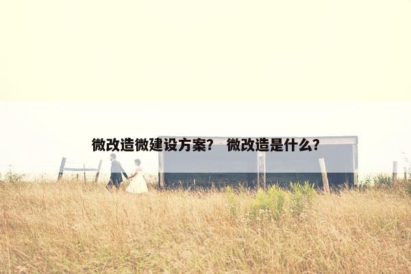 微改造微建设方案？ 微改造是什么？