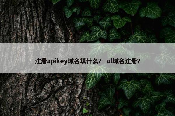 注册apikey域名填什么？ al域名注册？