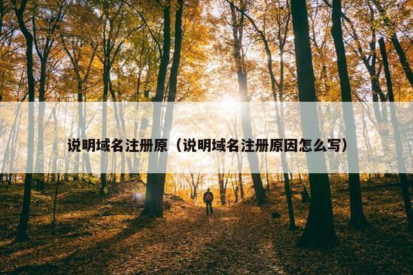 说明域名注册原（说明域名注册原因怎么写）
