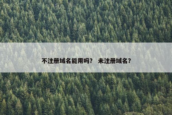 不注册域名能用吗？ 未注册域名？