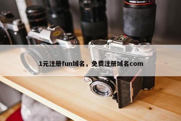 1元注册fun域名，免费注册域名com