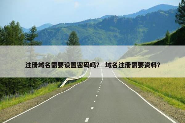 注册域名需要设置密码吗？ 域名注册需要资料？