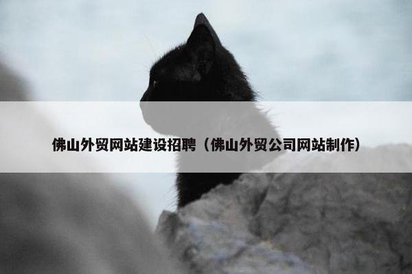 佛山外贸网站建设招聘（佛山外贸公司网站制作）