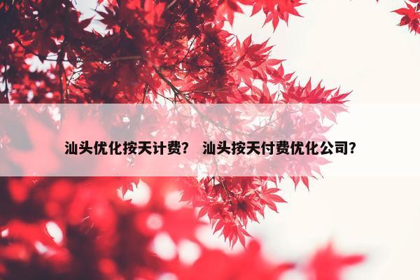 汕头优化按天计费？ 汕头按天付费优化公司？