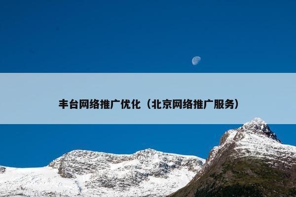丰台网络推广优化（北京网络推广服务）