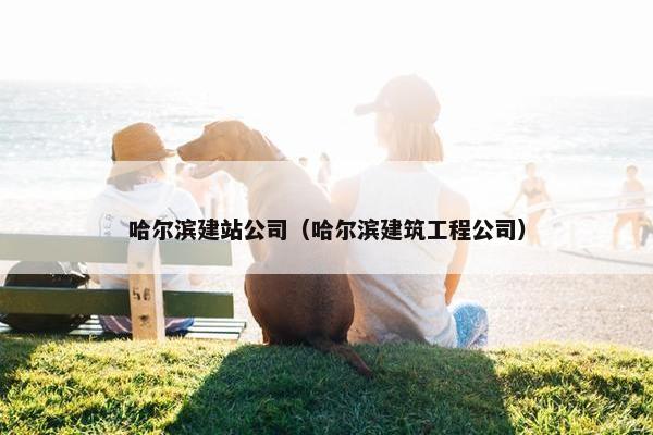 哈尔滨建站公司（哈尔滨建筑工程公司）