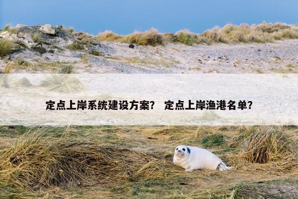 定点上岸系统建设方案？ 定点上岸渔港名单？