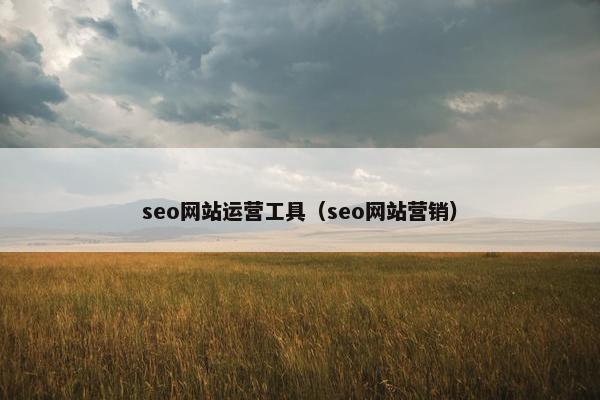 seo网站运营工具（seo网站营销）