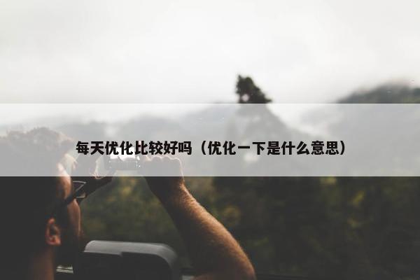 每天优化比较好吗（优化一下是什么意思）