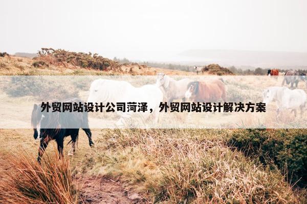外贸网站设计公司菏泽，外贸网站设计解决方案