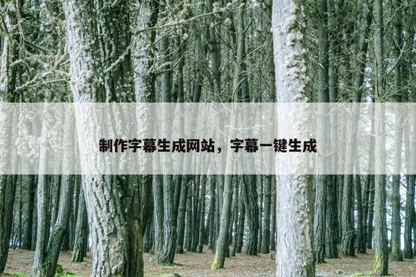 制作字幕生成网站，字幕一键生成