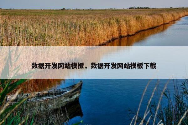 数据开发网站模板，数据开发网站模板下载