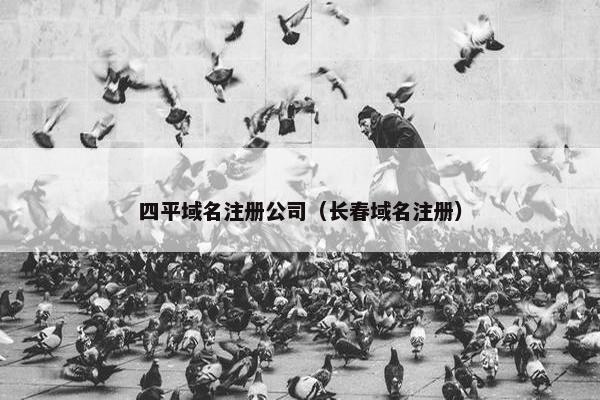 四平域名注册公司（长春域名注册）