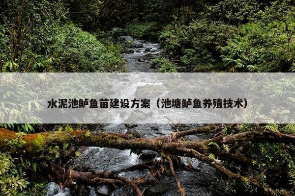 水泥池鲈鱼苗建设方案（池塘鲈鱼养殖技术）