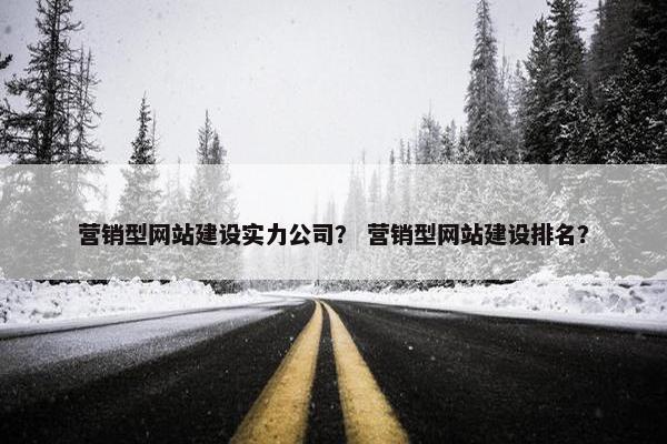 营销型网站建设实力公司？ 营销型网站建设排名？