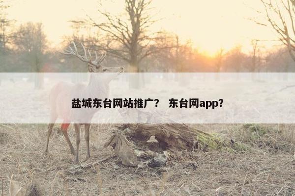 盐城东台网站推广？ 东台网app？