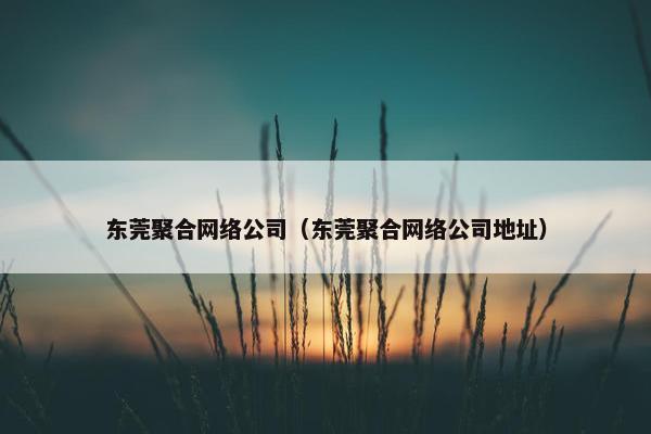 东莞聚合网络公司（东莞聚合网络公司地址）