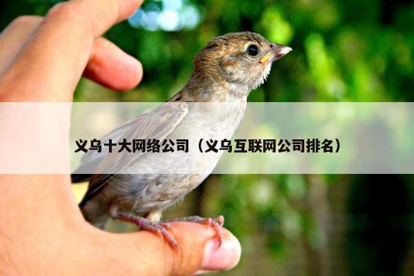 义乌十大网络公司（义乌互联网公司排名）