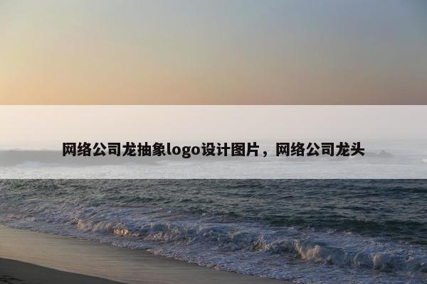 网络公司龙抽象logo设计图片，网络公司龙头