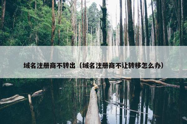 域名注册商不转出（域名注册商不让转移怎么办）