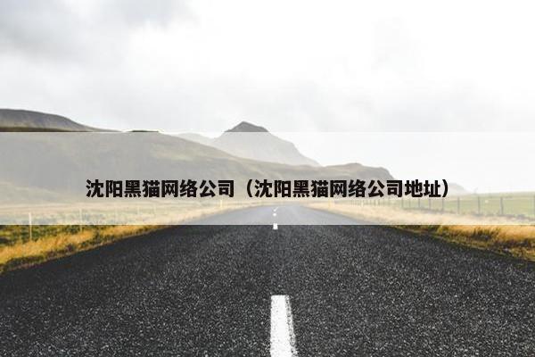 沈阳黑猫网络公司（沈阳黑猫网络公司地址）