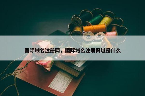 国际域名注册网，国际域名注册网址是什么