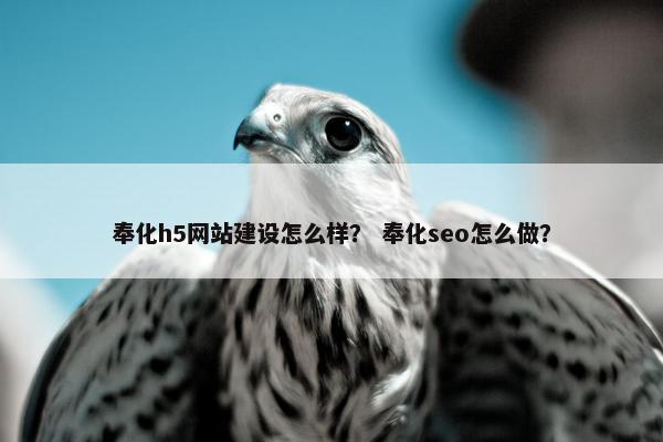 奉化h5网站建设怎么样？ 奉化seo怎么做？