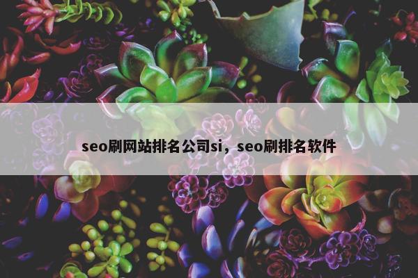 seo刷网站排名公司si，seo刷排名软件