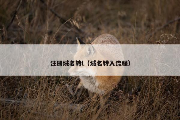 注册域名转l（域名转入流程）
