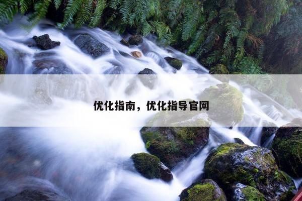 优化指南，优化指导官网