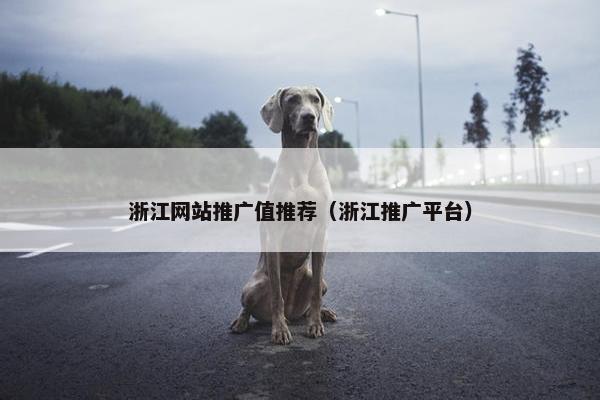 浙江网站推广值推荐（浙江推广平台）
