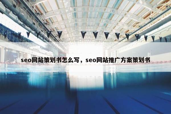 seo网站策划书怎么写，seo网站推广方案策划书