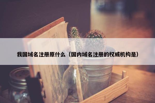 我国域名注册原什么（国内域名注册的权威机构是）