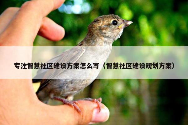 专注智慧社区建设方案怎么写（智慧社区建设规划方案）