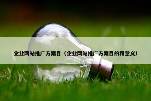 企业网站推广方案目（企业网站推广方案目的和意义）