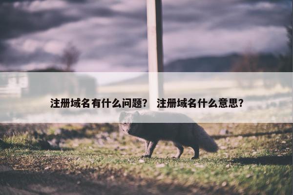 注册域名有什么问题？ 注册域名什么意思？
