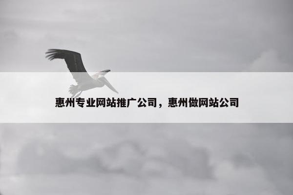 惠州专业网站推广公司，惠州做网站公司