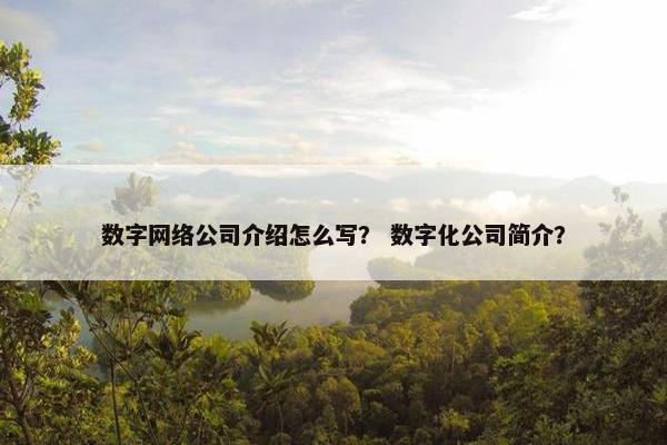 数字网络公司介绍怎么写？ 数字化公司简介？