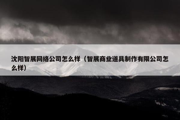 沈阳智展网络公司怎么样（智展商业道具制作有限公司怎么样）