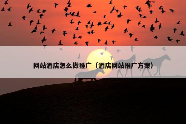 网站酒店怎么做推广（酒店网站推广方案）