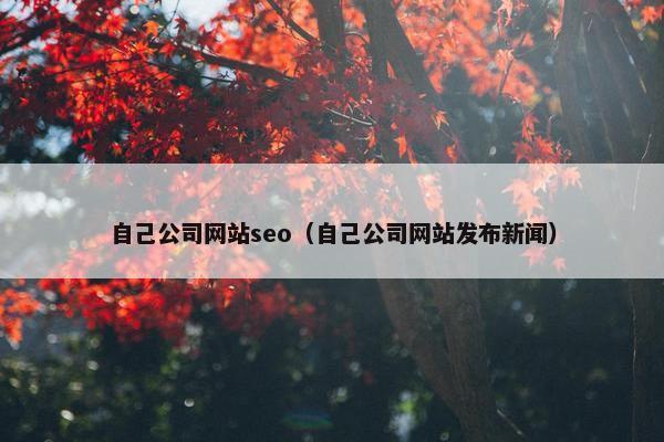 自己公司网站seo（自己公司网站发布新闻）