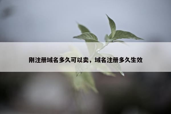 刚注册域名多久可以卖，域名注册多久生效