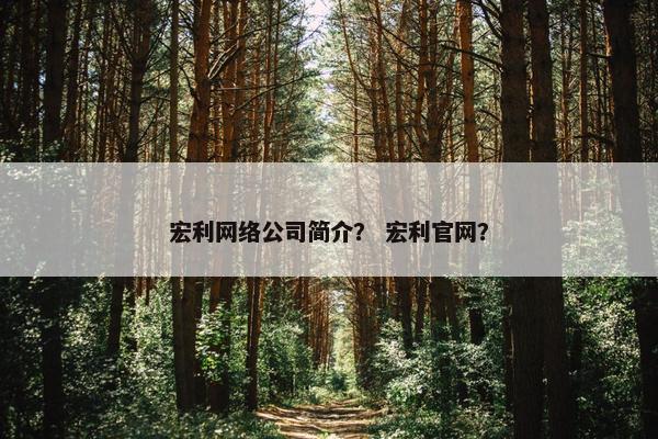 宏利网络公司简介？ 宏利官网？