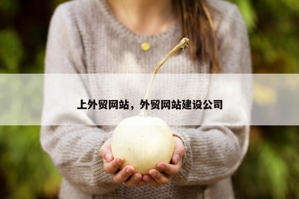上外贸网站，外贸网站建设公司